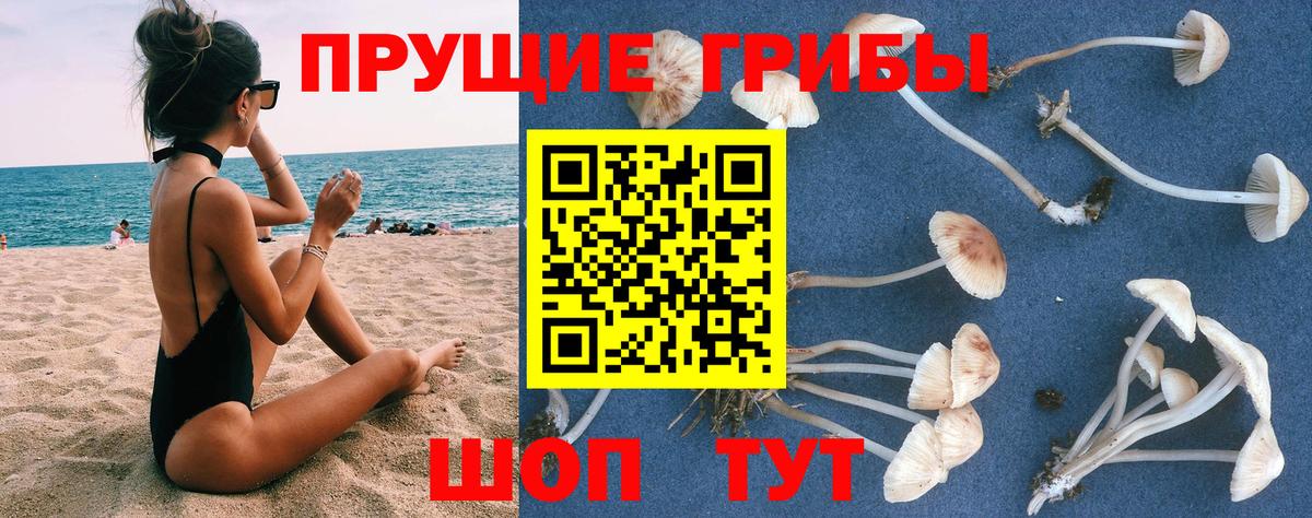 Псилоцибиновые грибы MAGIC MUSHROOMS Углич